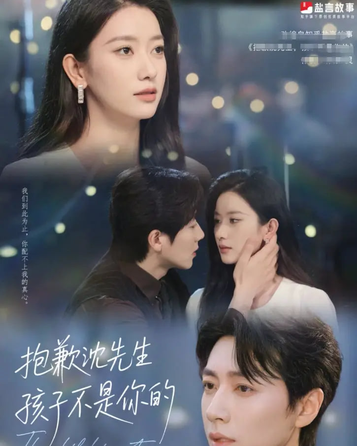 抱歉沈先生孩子不是你的第22集