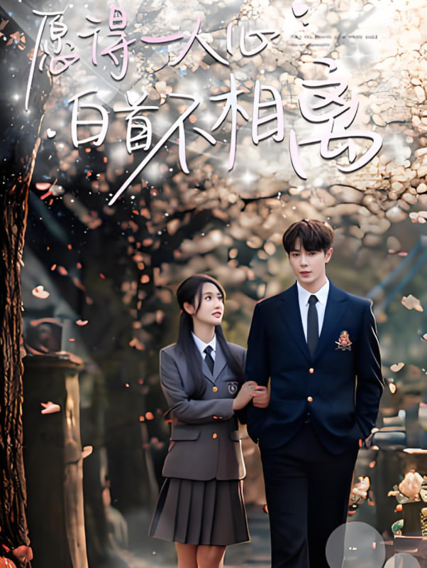 愿得一人心白首不相离第11集