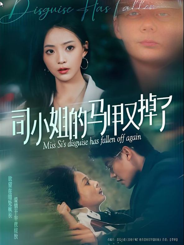 司小姐的马甲又掉了第11集