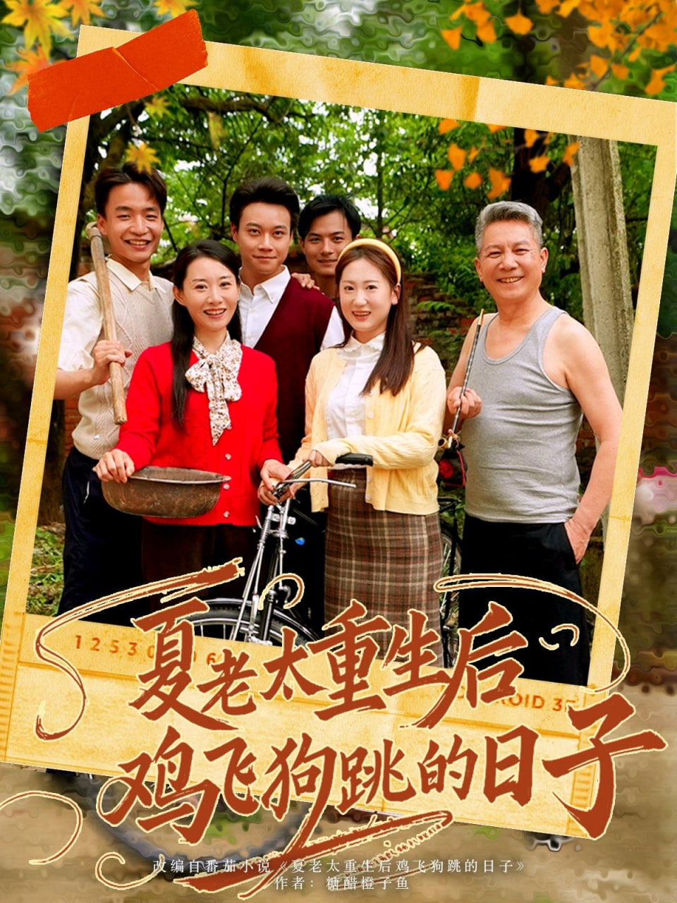 夏老太重生后鸡飞狗跳的日子第63集