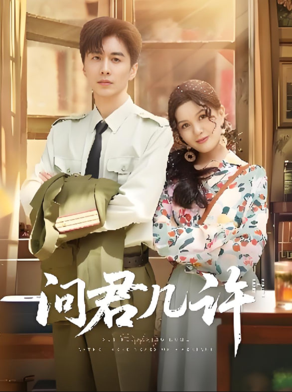 问君几许第01集