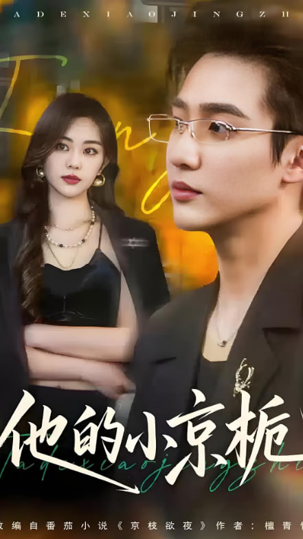 他的小京栀第14集