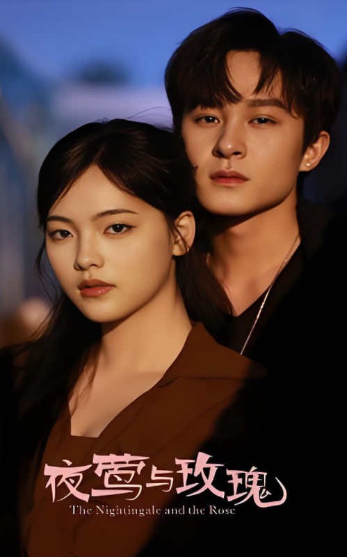 夜莺与玫瑰第43集