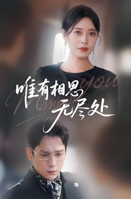 唯有相思无尽处第26集