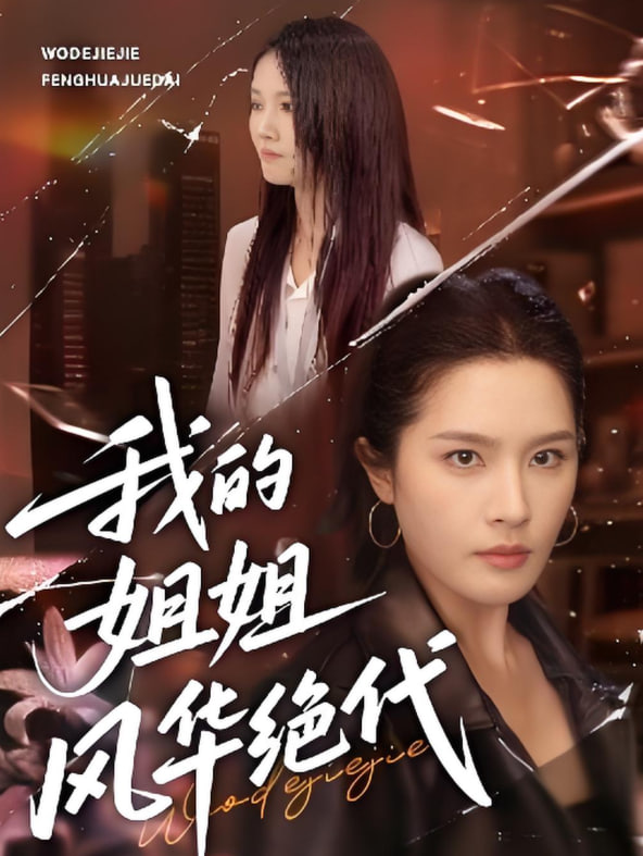 我的姐姐风华绝代第14集