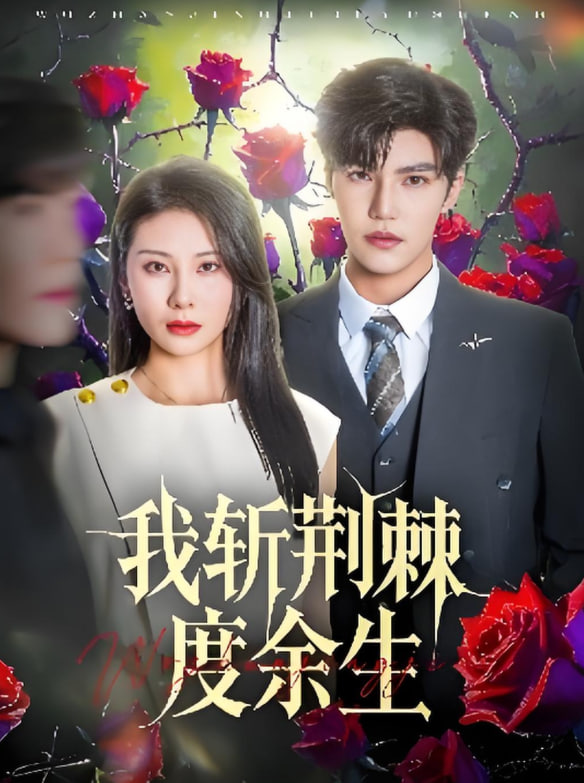 我斩荆棘度余生第37集