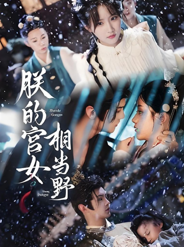 朕的宫女相当野第58集