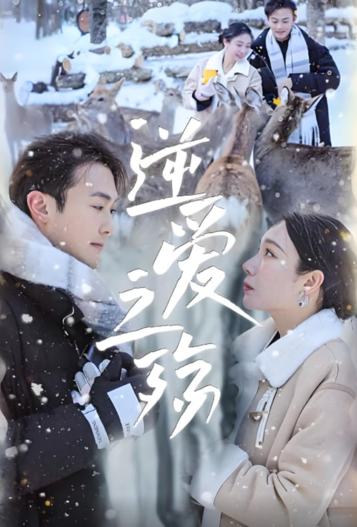 逆爱之殇第44集