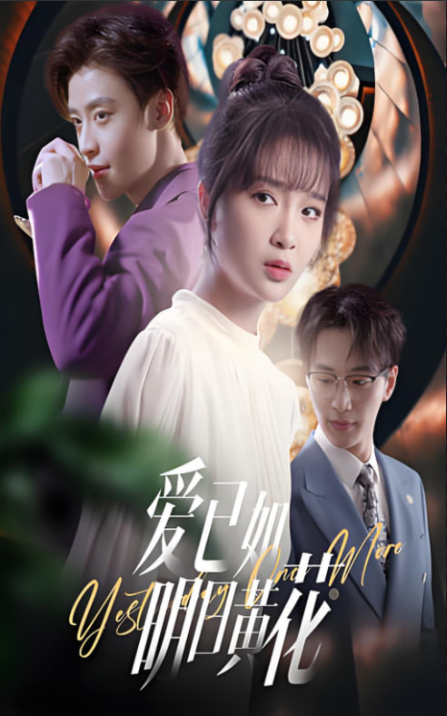 爱已如明日黄花第11集