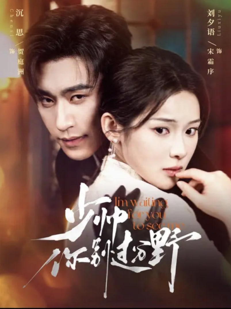 少帅你别过分野第04集