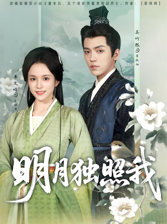 明月独照我第40集