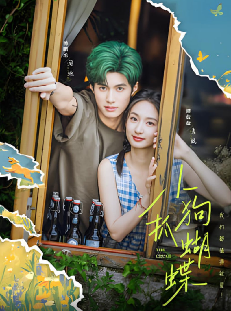 小狗抓蝴蝶第25集