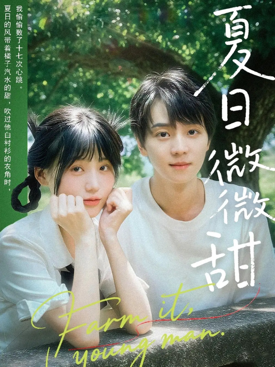 夏日微微甜第09集