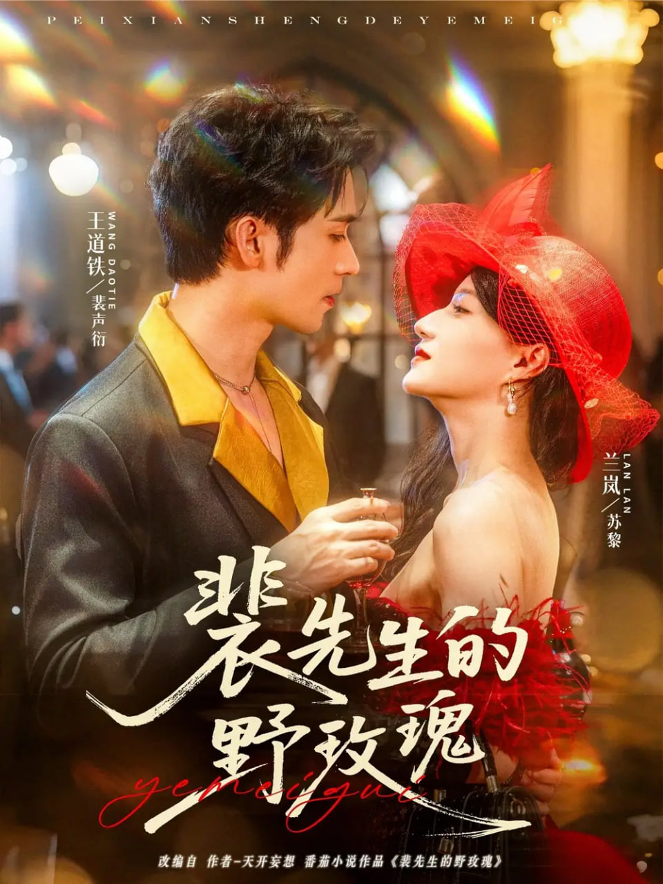 裴先生的野玫瑰第48集