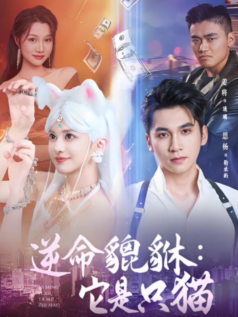 逆命貔貅它是只猫第12集