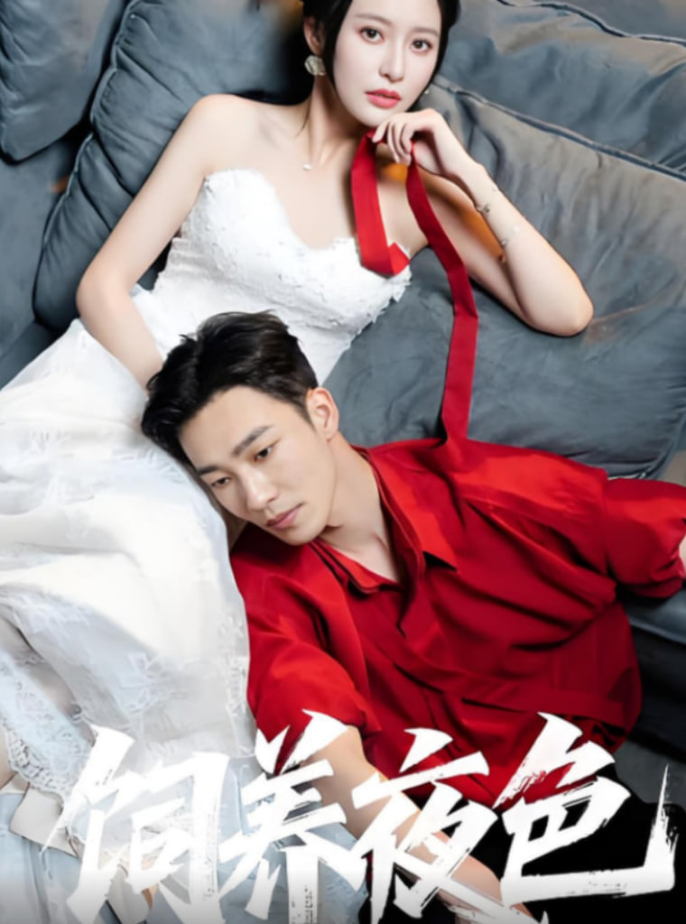 饲养夜色第14集