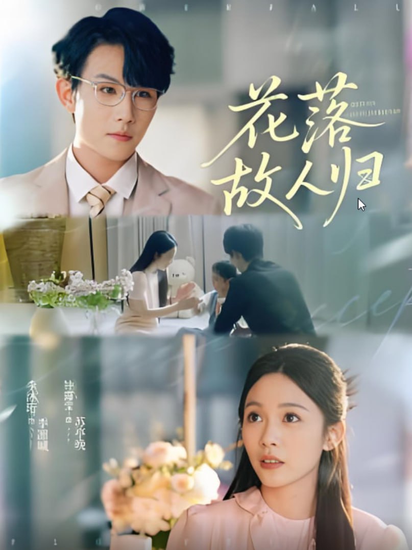 花落故人归第43集