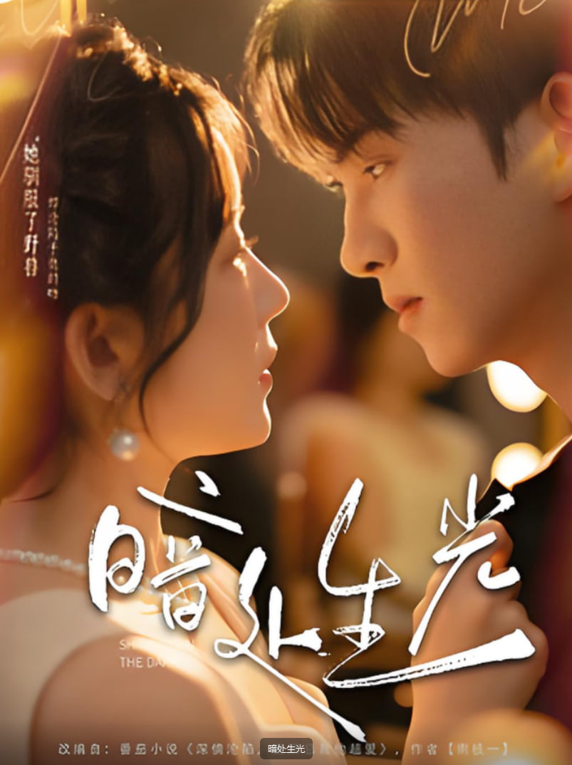 暗处生光第14集