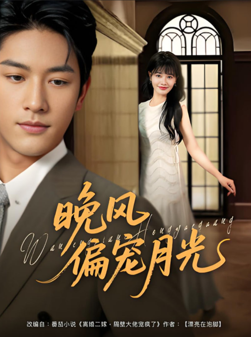 晚风偏宠月光第01集