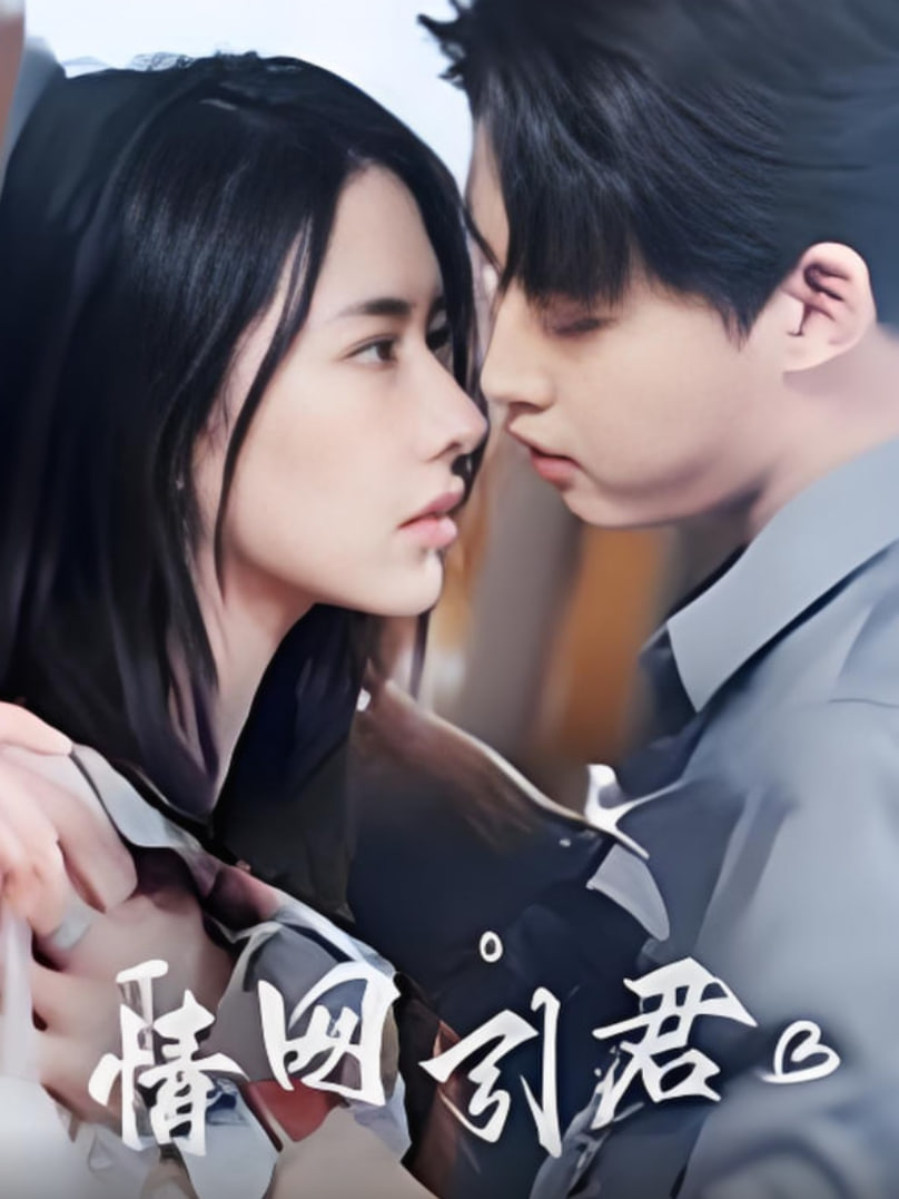 情网引君第22集