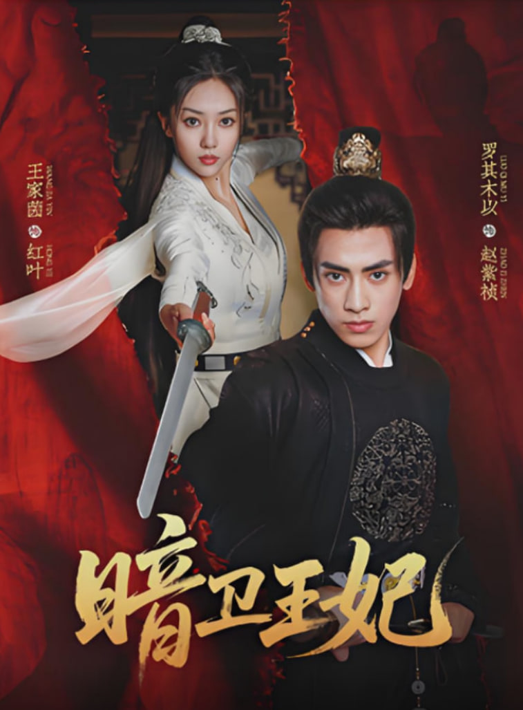 暗卫王妃第22集