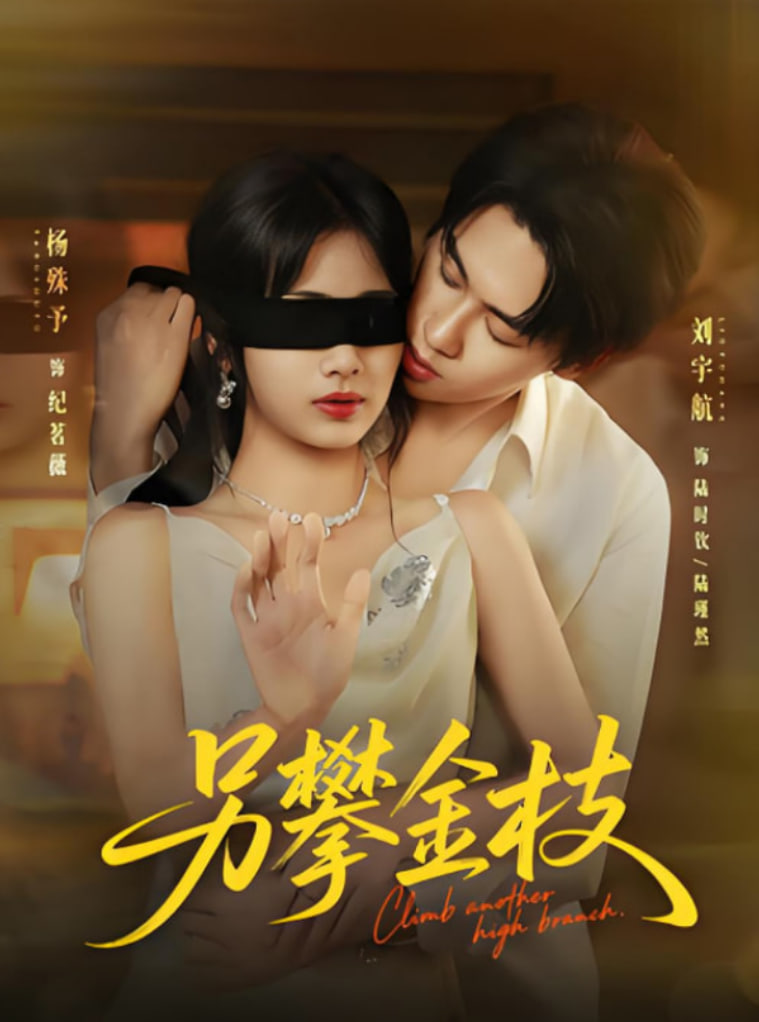 另攀金枝第20集