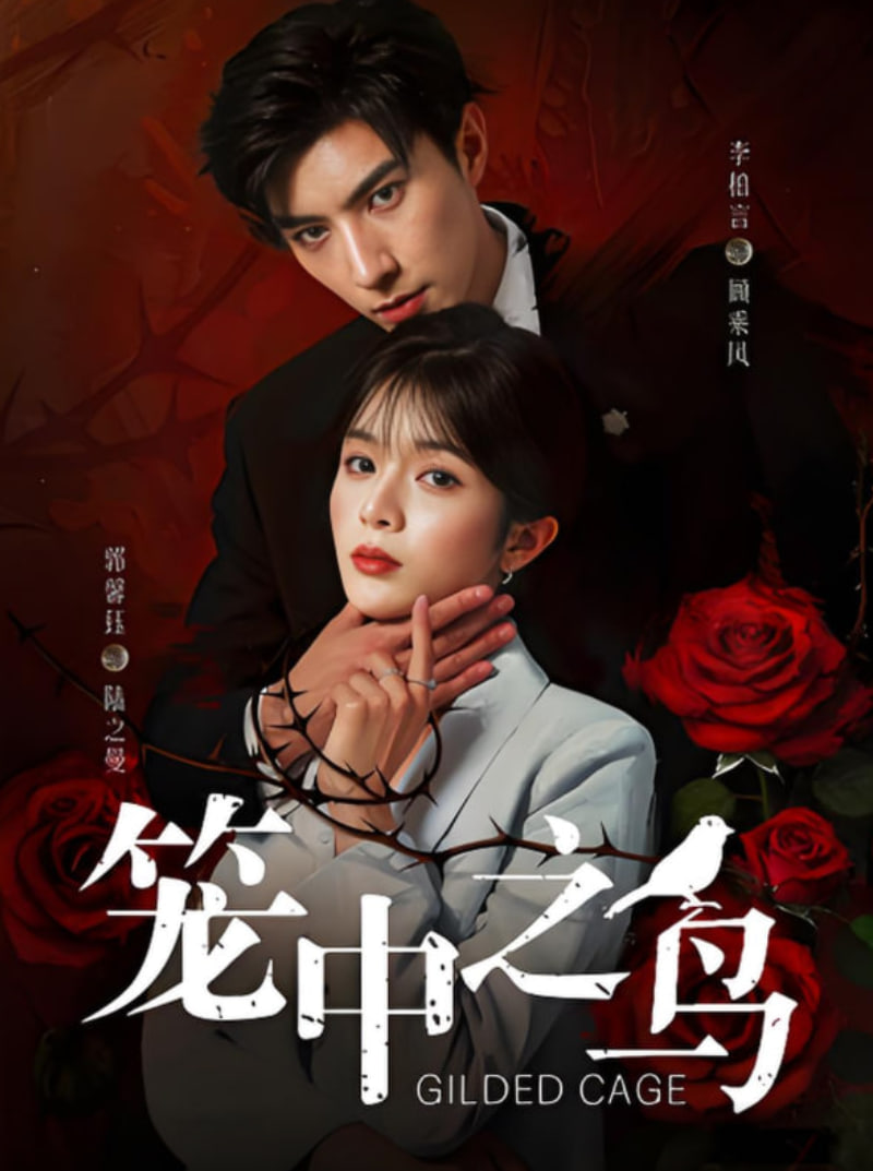 笼中之鸟第05集