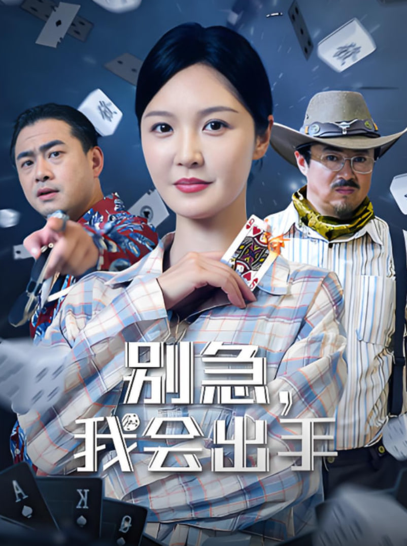 别急我会出手第29集