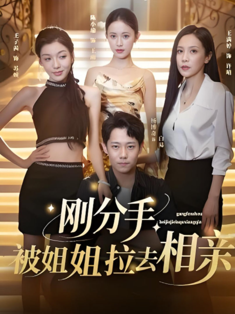 刚分手被姐姐拉去相亲（分手被姐姐拉去相亲）第63集