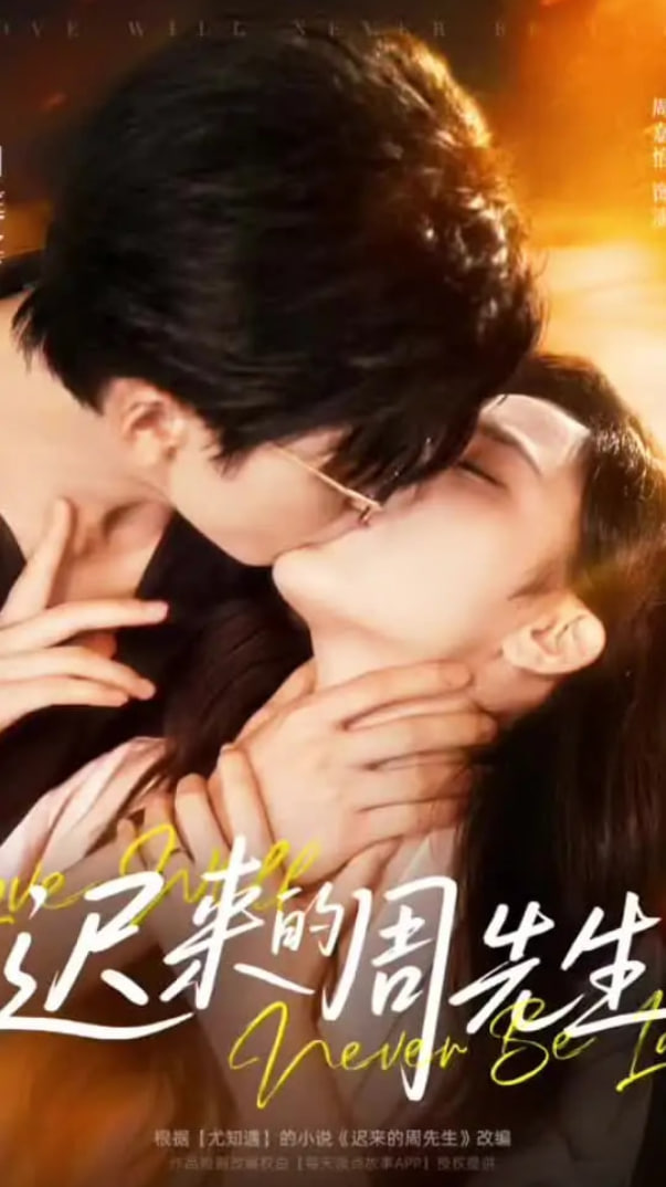 迟来的周先生第01-30集