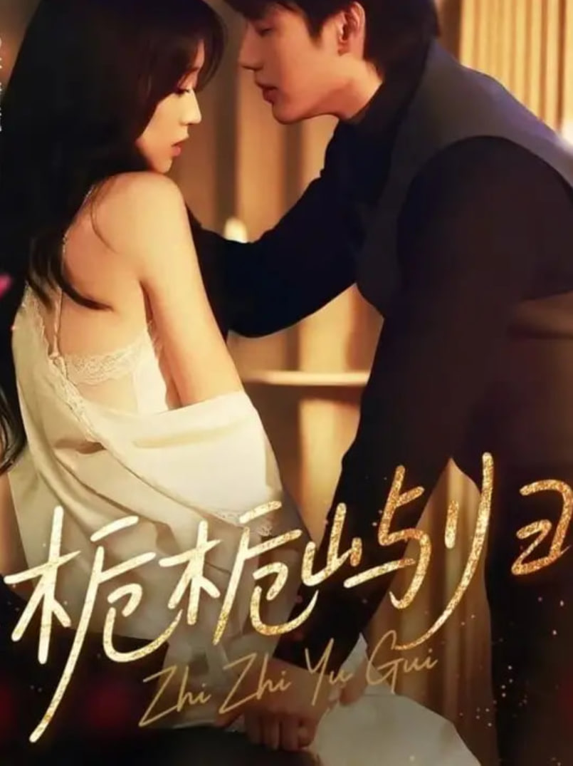 栀栀屿归第45集