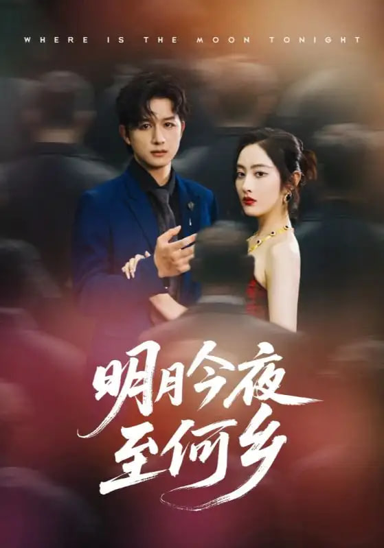 明月今夜至何乡第28集