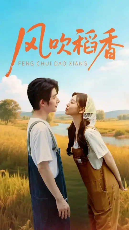 风吹稻香第35集
