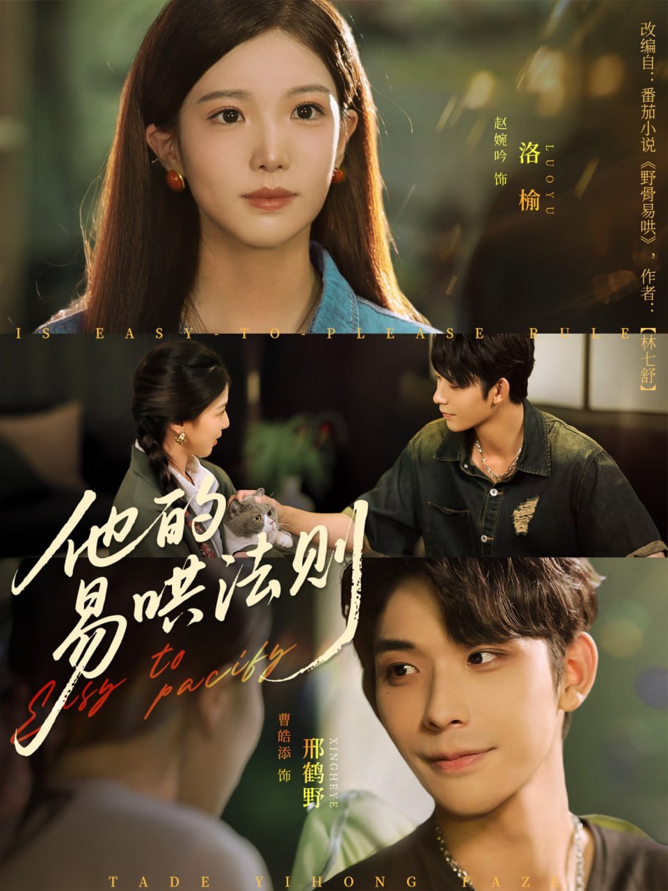 他的易哄法则第12集