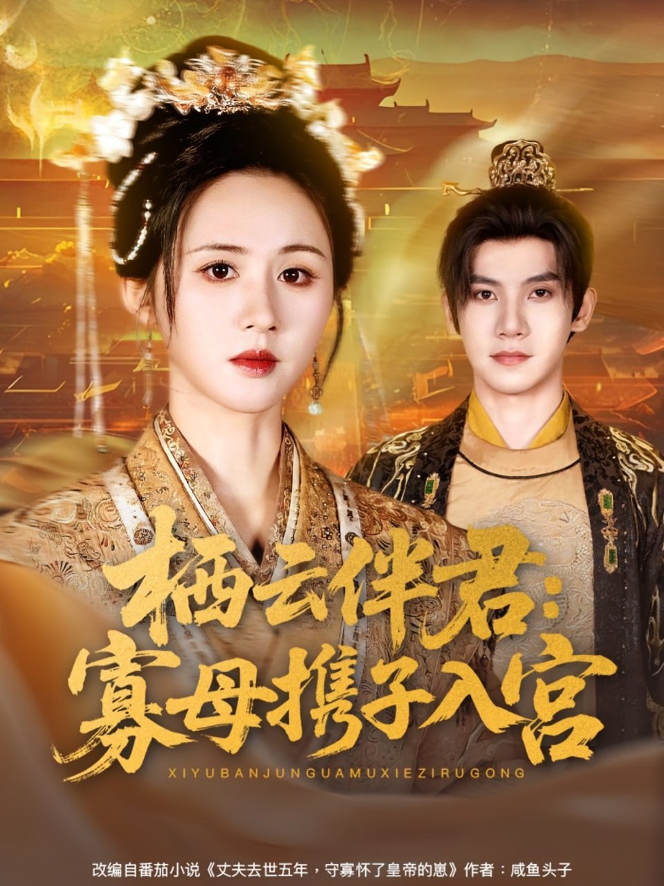 栖云伴君寡母携子入宫第22集