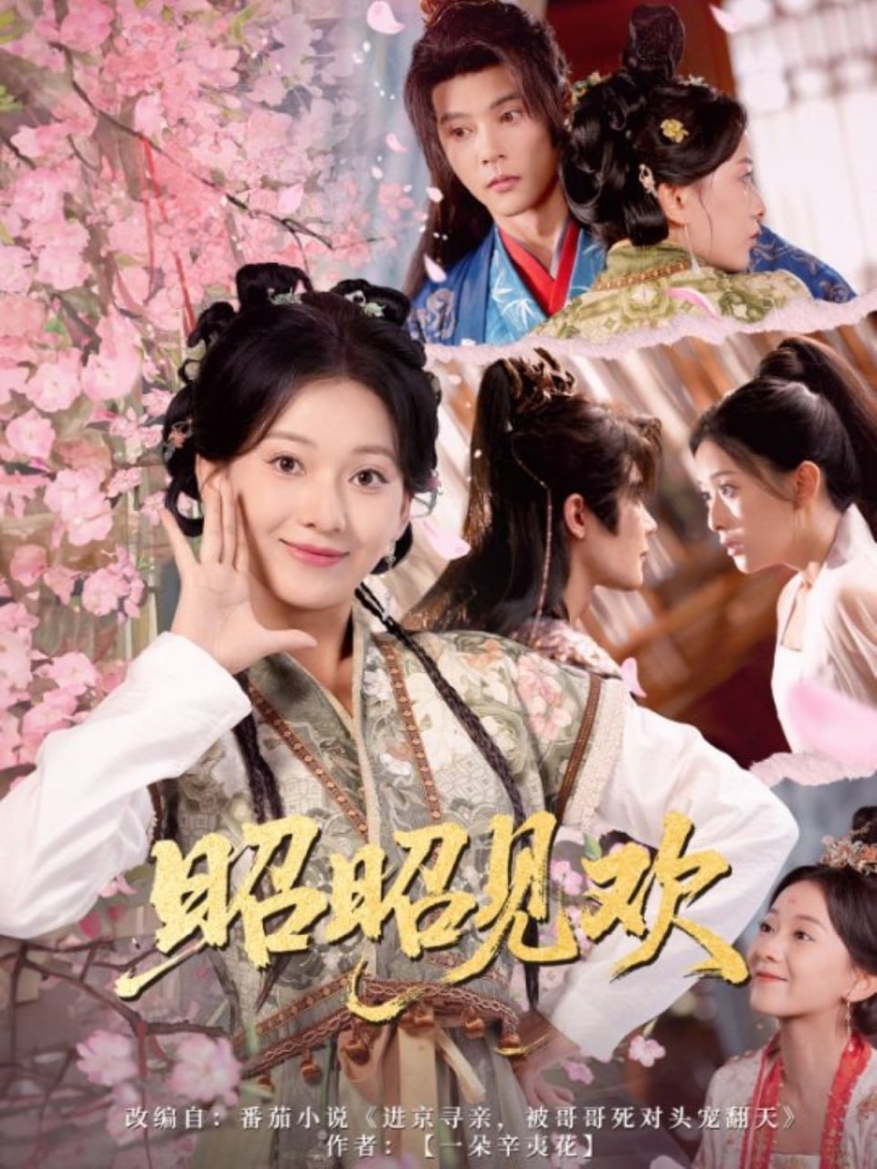 昭昭见欢第42集