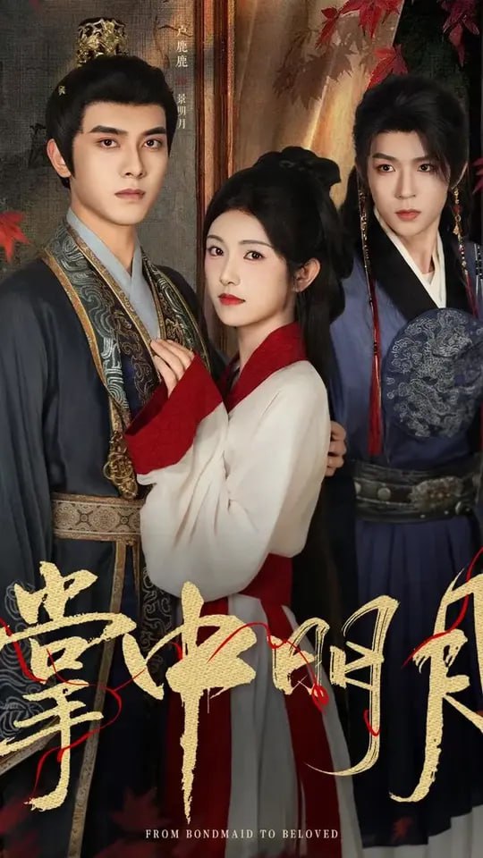 掌中明月第46集