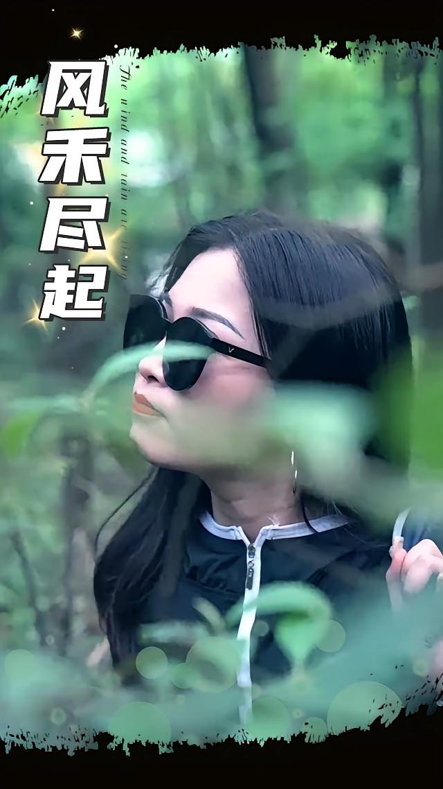 风禾尽起 2025第12集