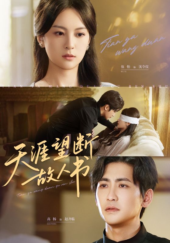 天涯望断故人书第23集