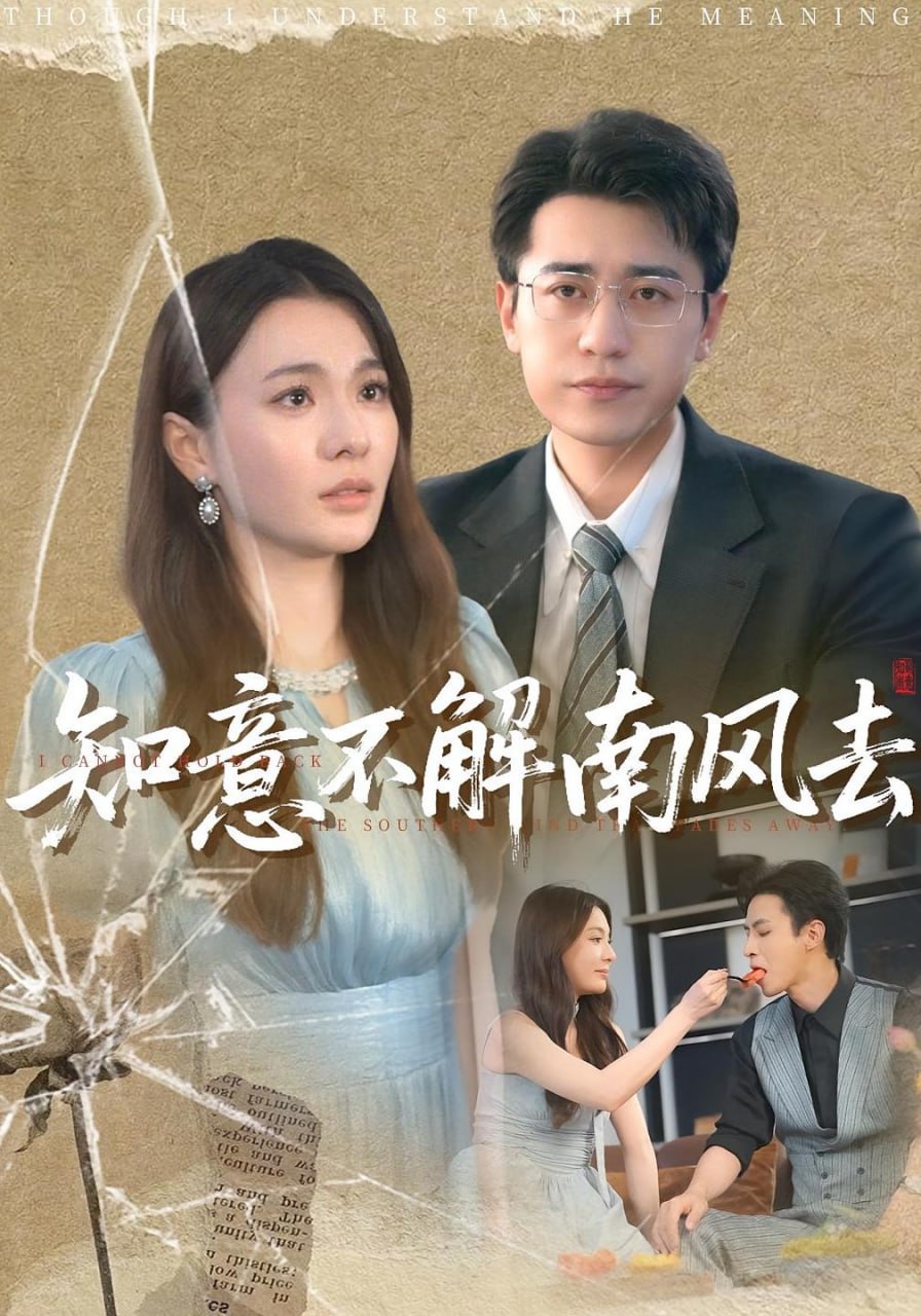 知意不解南风去第81集