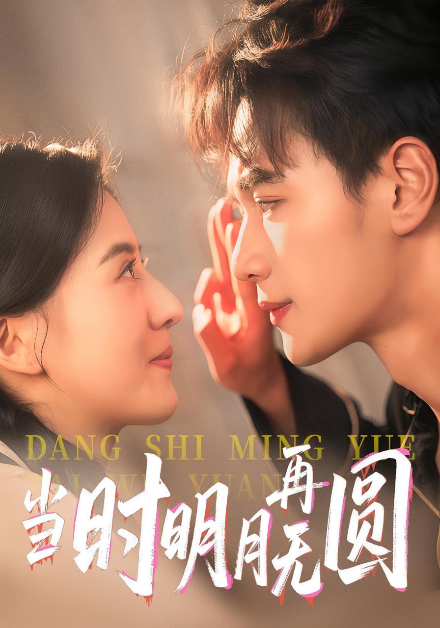 当时明月再无圆第35集