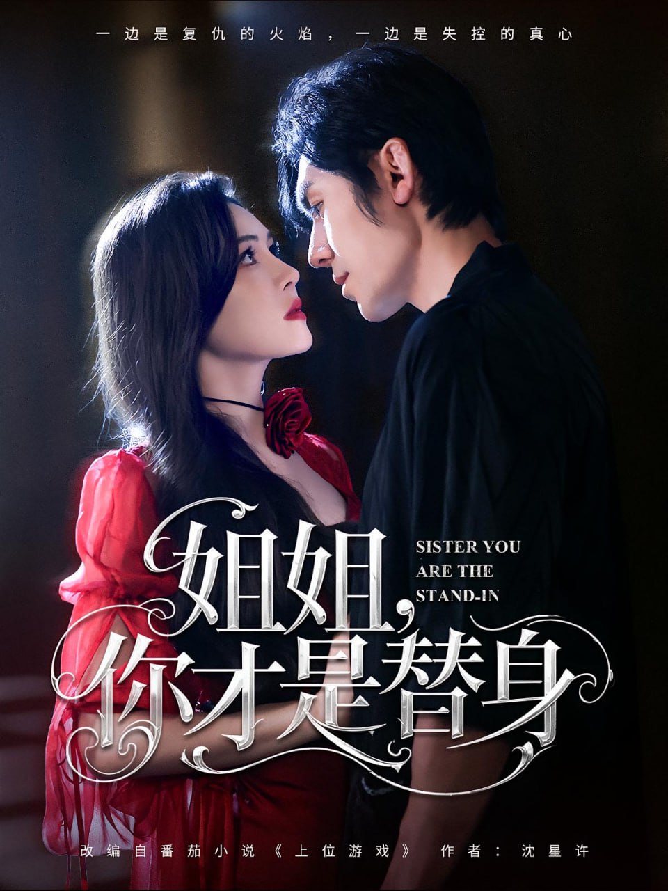 姐姐你才是替身第09集