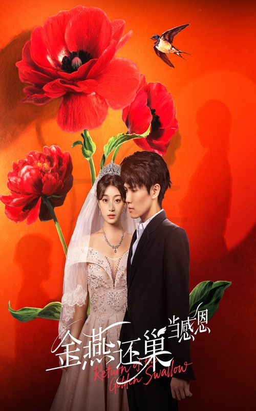 金燕还巢当感恩第27集