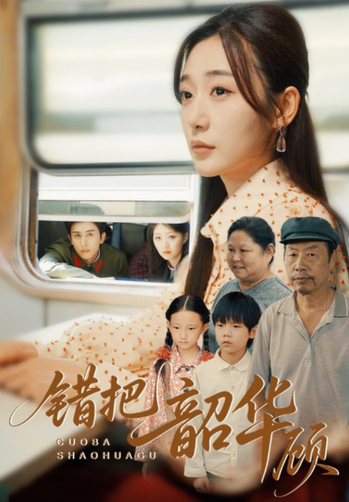 错把韶华顾第09集