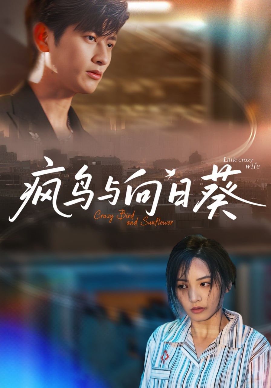 疯鸟与向日葵第29集