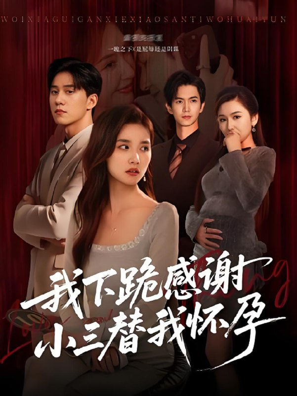 我下跪感谢小三替我怀孕（桃花散落君不在）第17集