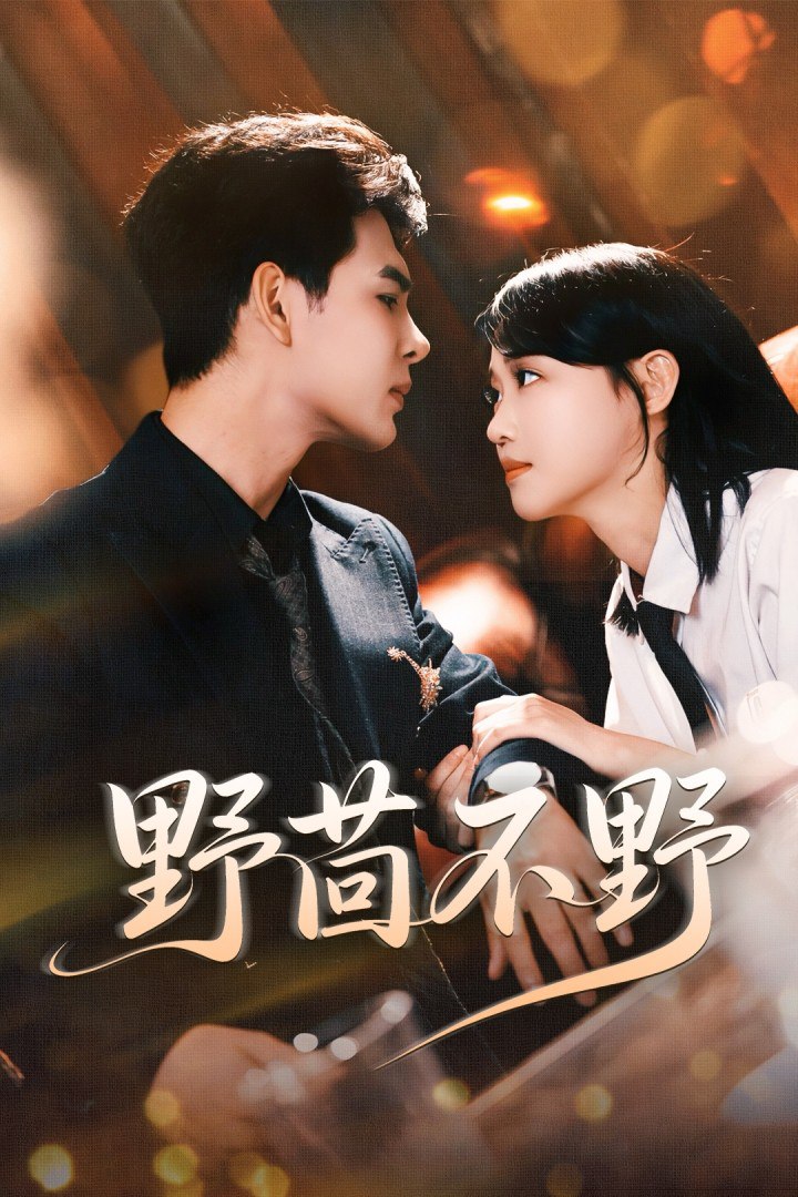 野茴不野第21集