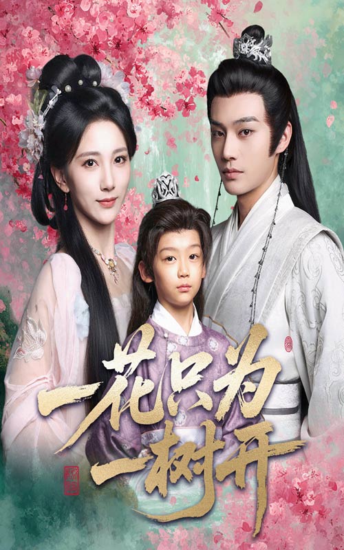 一花只为一树开第29集