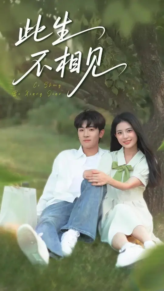 此生不相见第30集