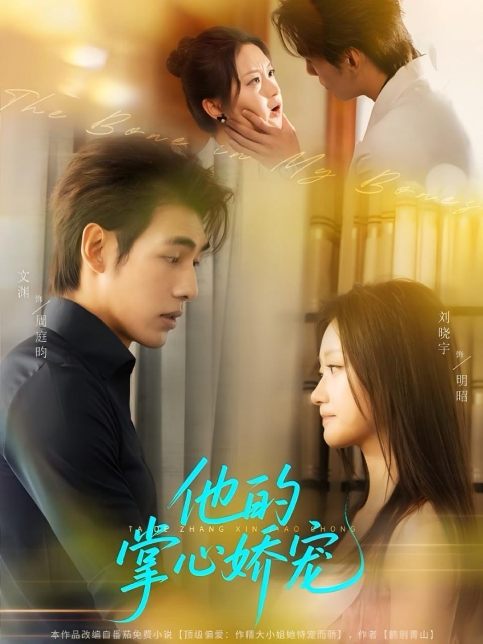 他的掌心娇宠第26集